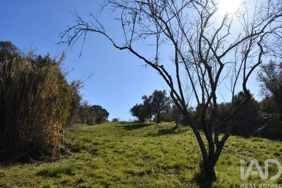 Terreno para Venda em Chãos Foto 22