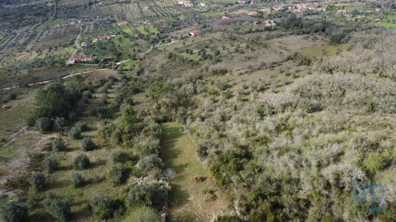 Terreno para Venda em Chãos Foto 1