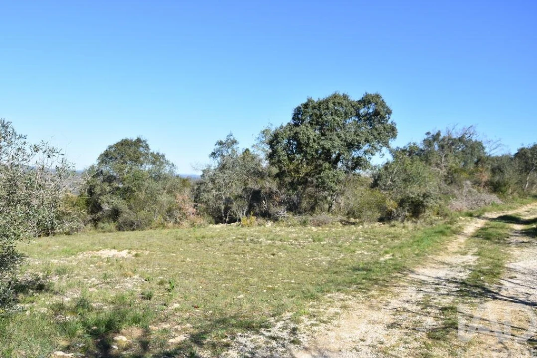 Terreno para Venda em Chãos Foto 26