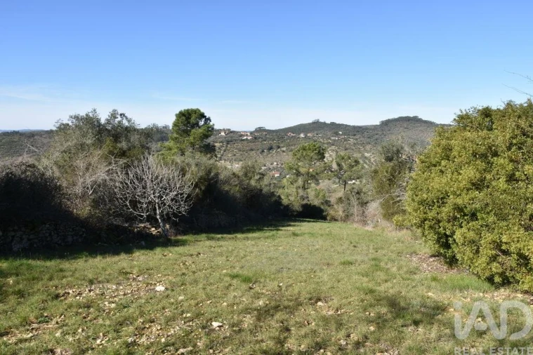 Terreno para Venda em Chãos Foto 16