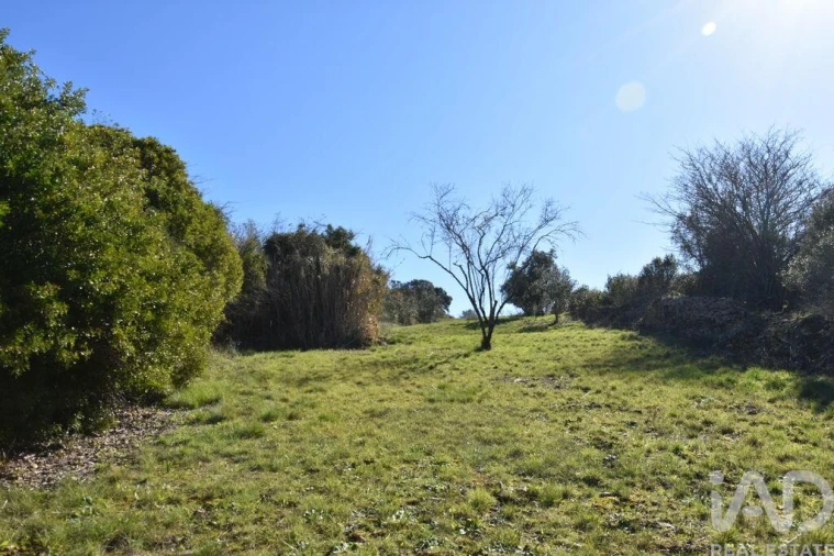 Terreno para Venda em Chãos Foto 20