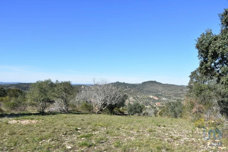 Terreno para Venda em Chãos Foto 6