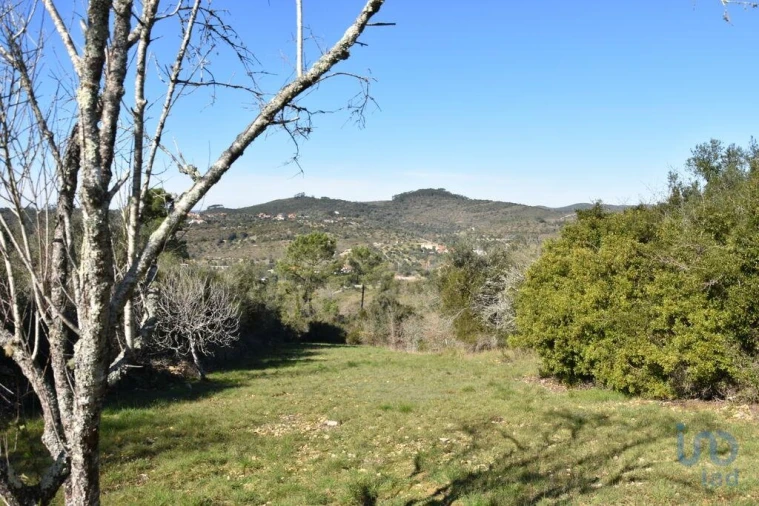 Terreno para Venda em Chãos Foto 3