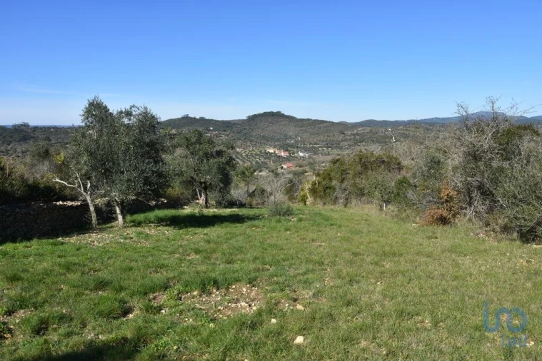 Terreno para Venda em Chãos Foto 11