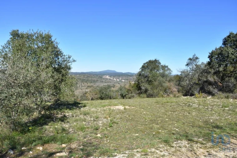 Terreno para Venda em Chãos Foto 4
