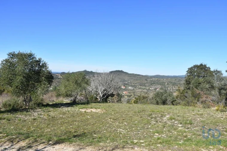 Terreno para Venda em Chãos Foto 5