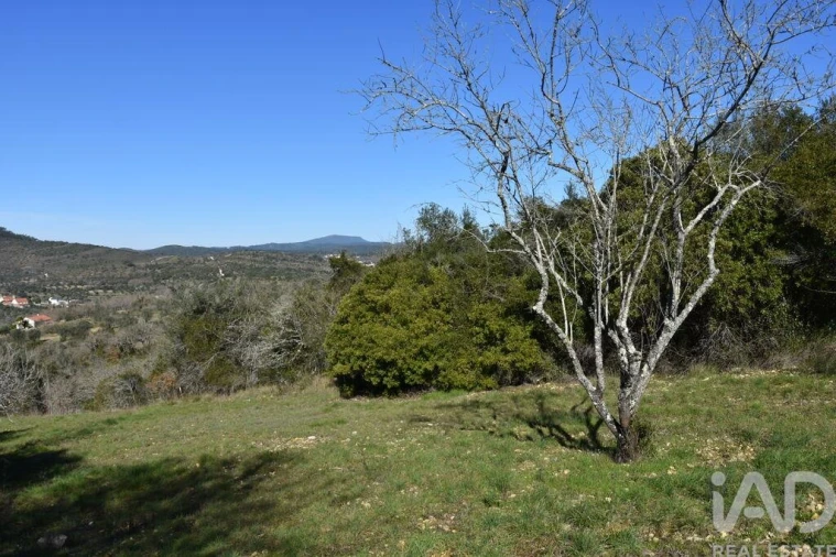 Terreno para Venda em Chãos Foto 15