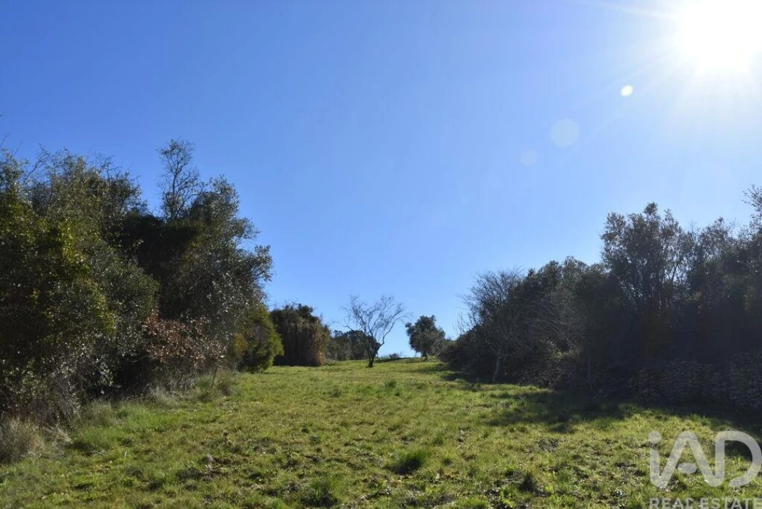 Terreno para Venda em Chãos Foto 18