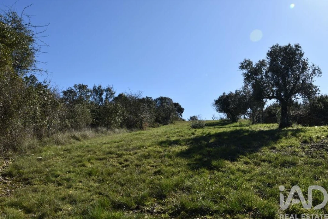 Terreno para Venda em Chãos Foto 23