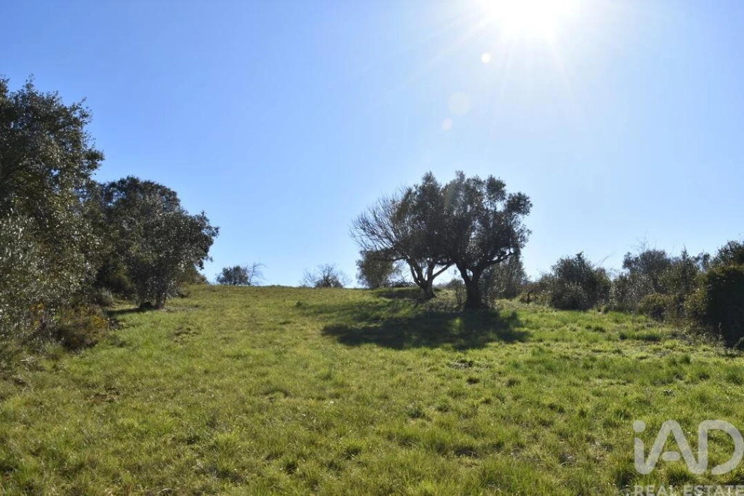 Terreno para Venda em Chãos Foto 21