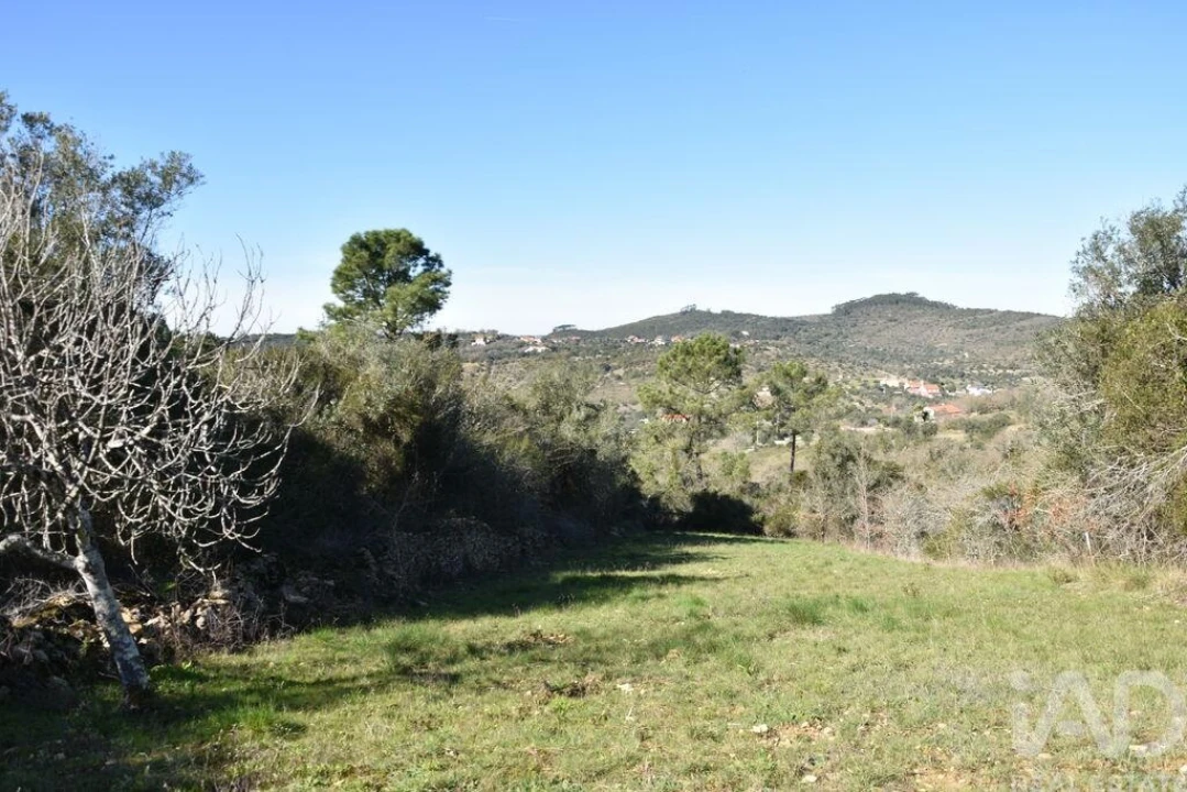 Terreno para Venda em Chãos Foto 17