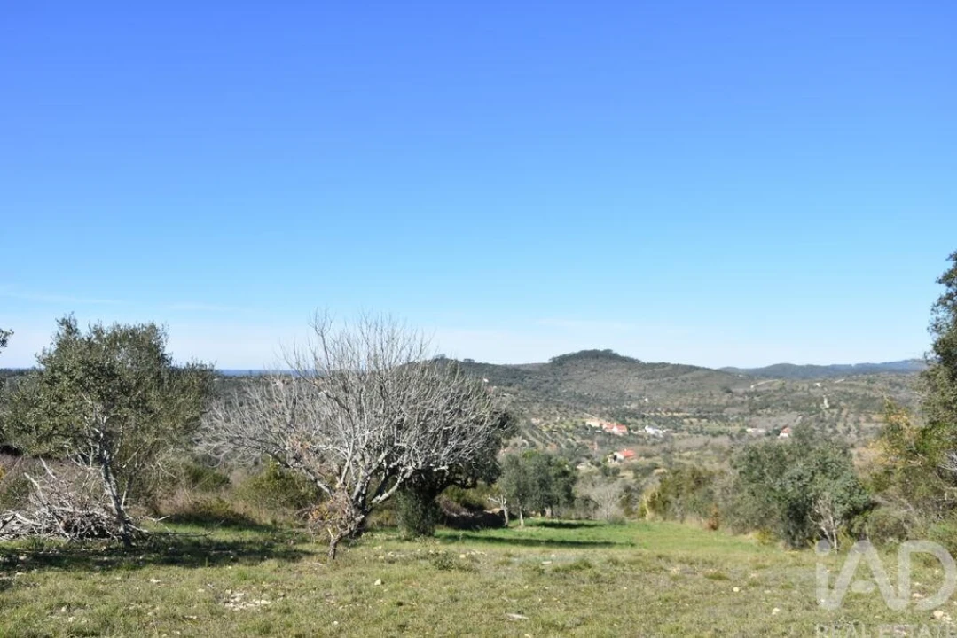 Terreno para Venda em Chãos Foto 24