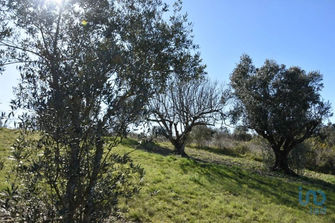 Terreno para Venda em Chãos Foto 10