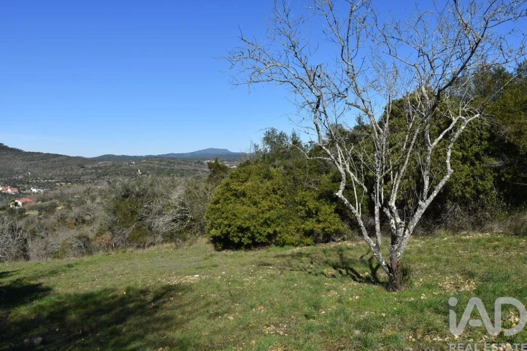Terreno para Venda em Chãos Foto 15