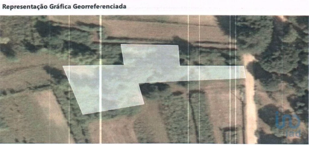 Terreno para Venda em Friestas Foto 6