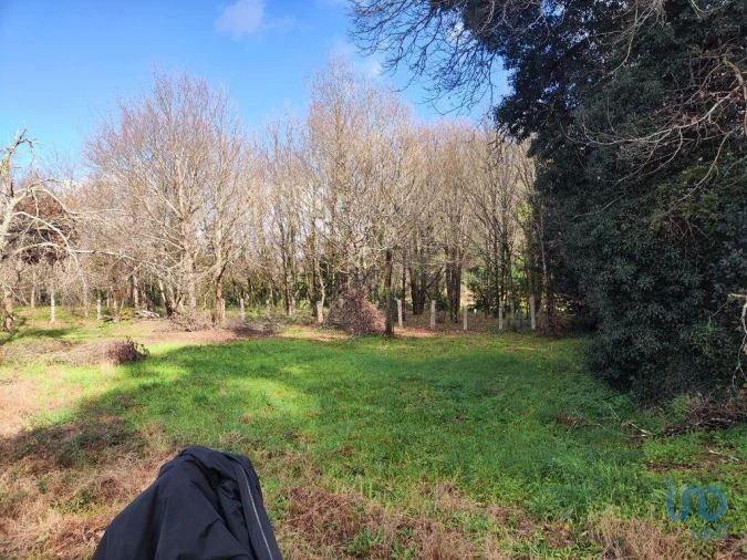 Terreno para Venda em Friestas Foto 2