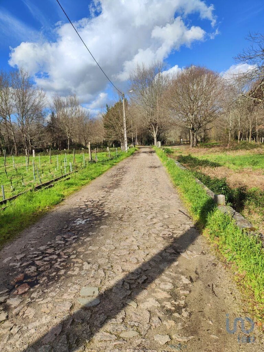 Terreno para Venda em Friestas Foto 5
