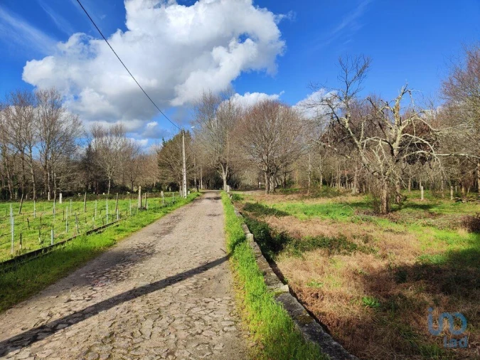 Terreno para Venda em Friestas Foto 4
