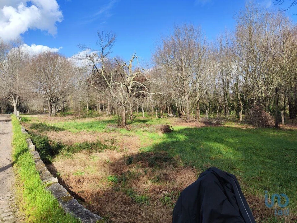 Terreno para Venda em Friestas Foto 3
