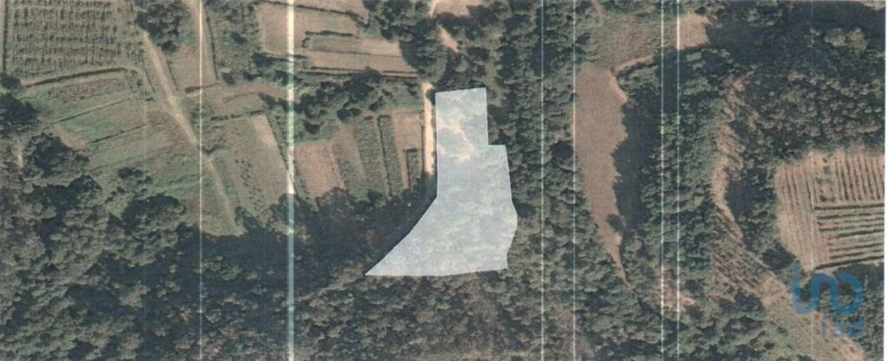 Terreno para Venda em Friestas Foto 7