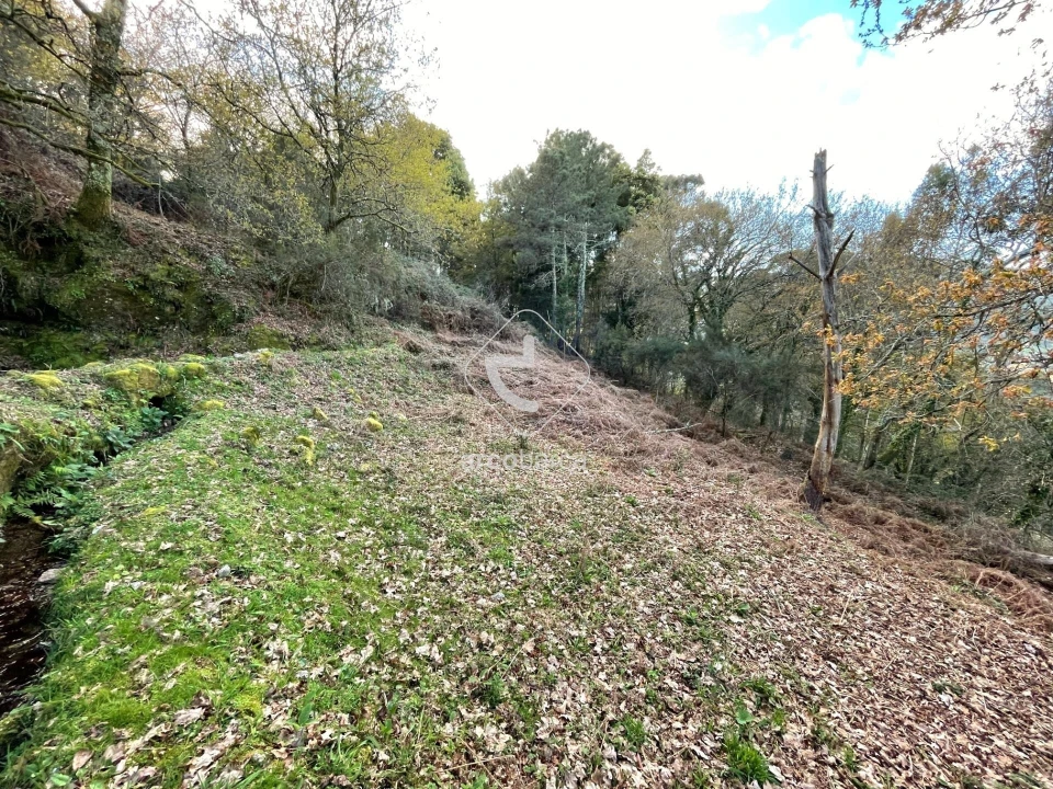 Terreno para Venda em Rio Frio Foto 8