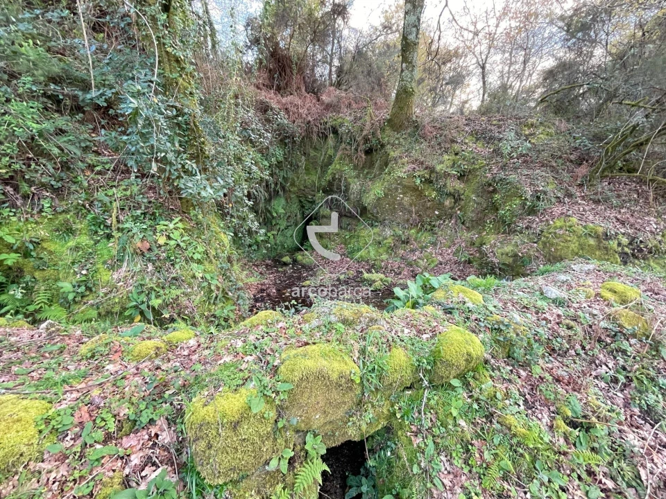 Terreno para Venda em Rio Frio Foto 10