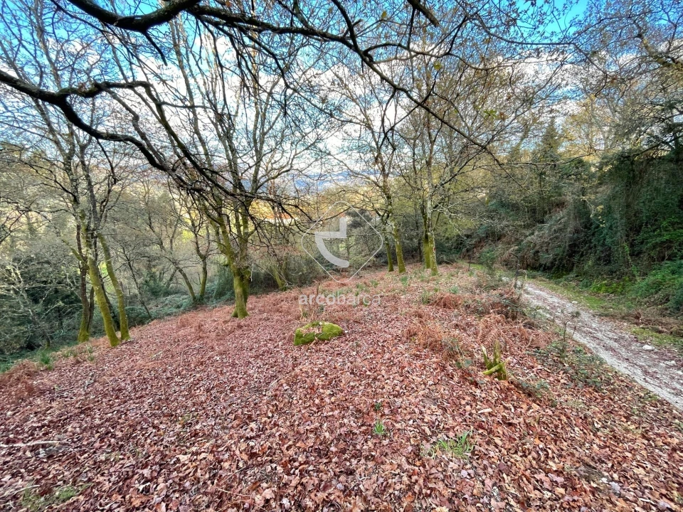 Terreno para Venda em Rio Frio Foto 4