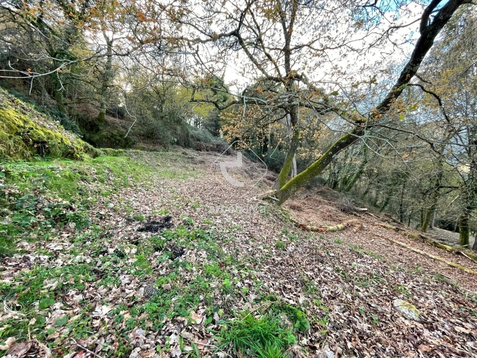 Terreno para Venda em Rio Frio Foto 9