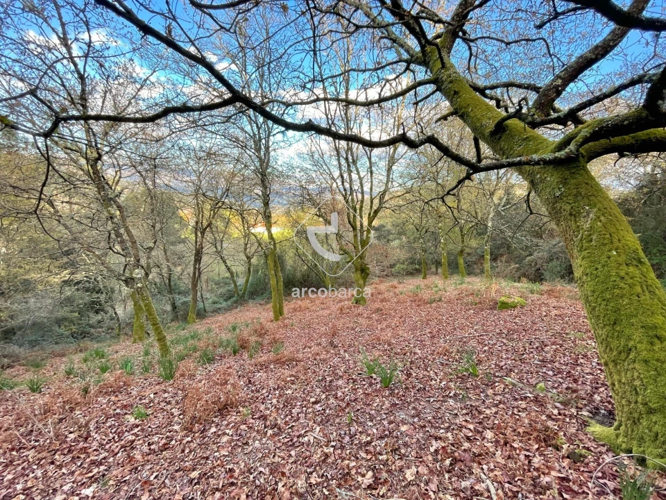 Terreno para Venda em Rio Frio Foto 3