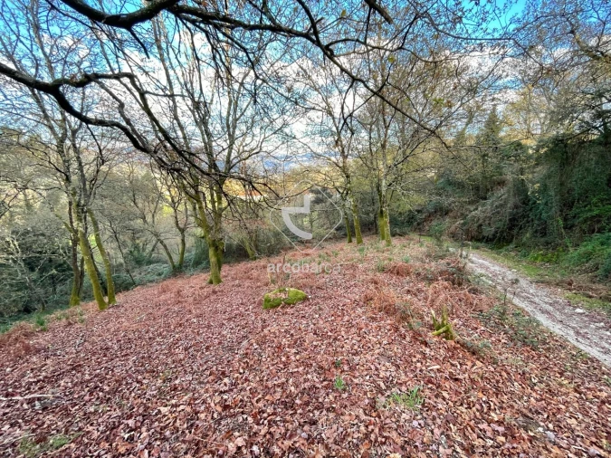 Terreno para Venda em Rio Frio Foto 4