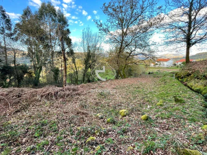 Terreno para Venda em Rio Frio Foto 13
