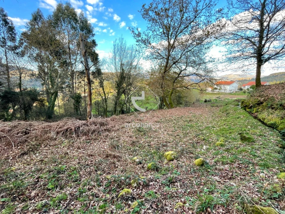 Terreno para Venda em Rio Frio Foto 13