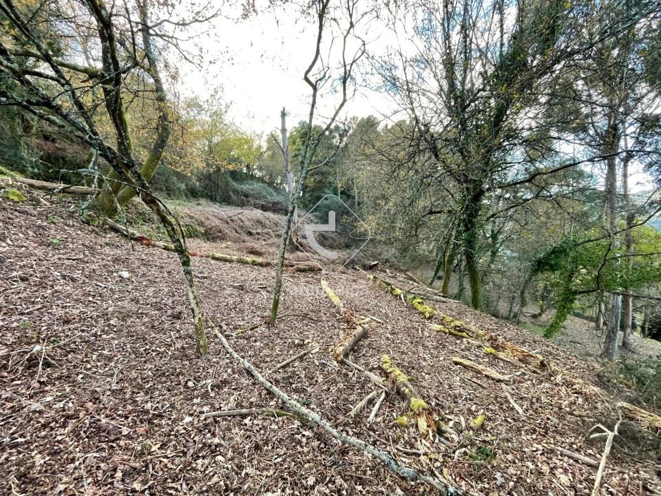 Terreno para Venda em Rio Frio Foto 7