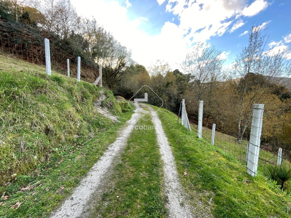 Terreno para Venda em Rio Frio Foto 14