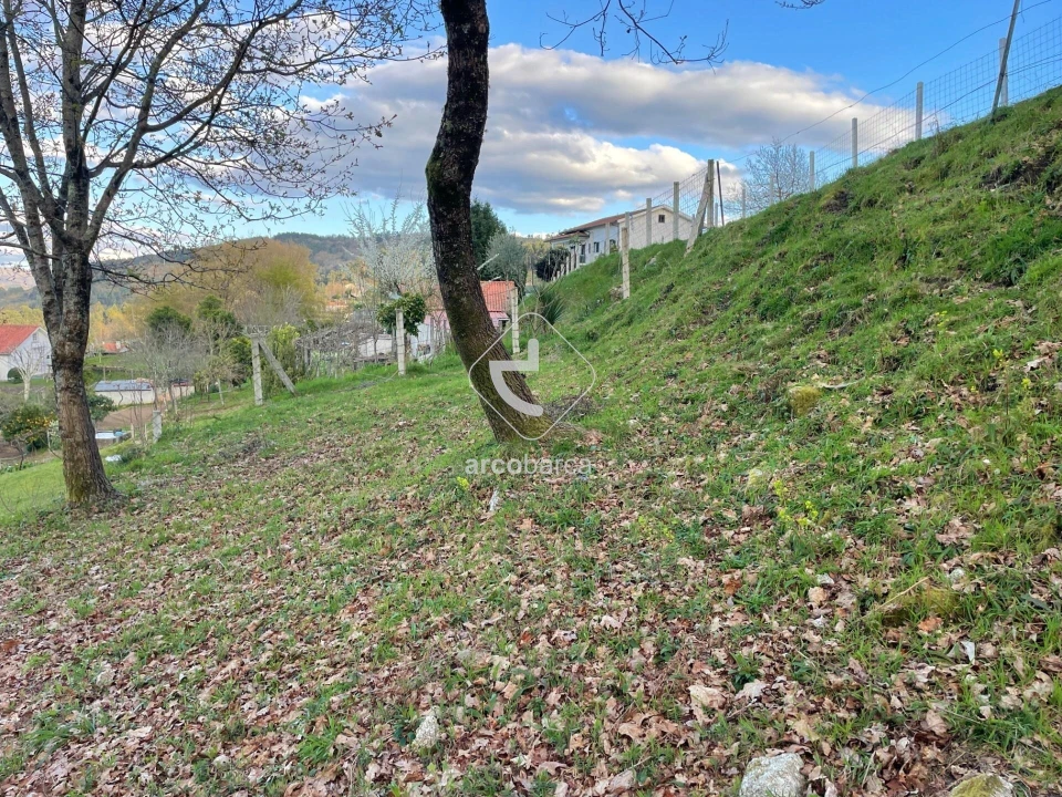 Terreno para Venda em Rio Frio Foto 12
