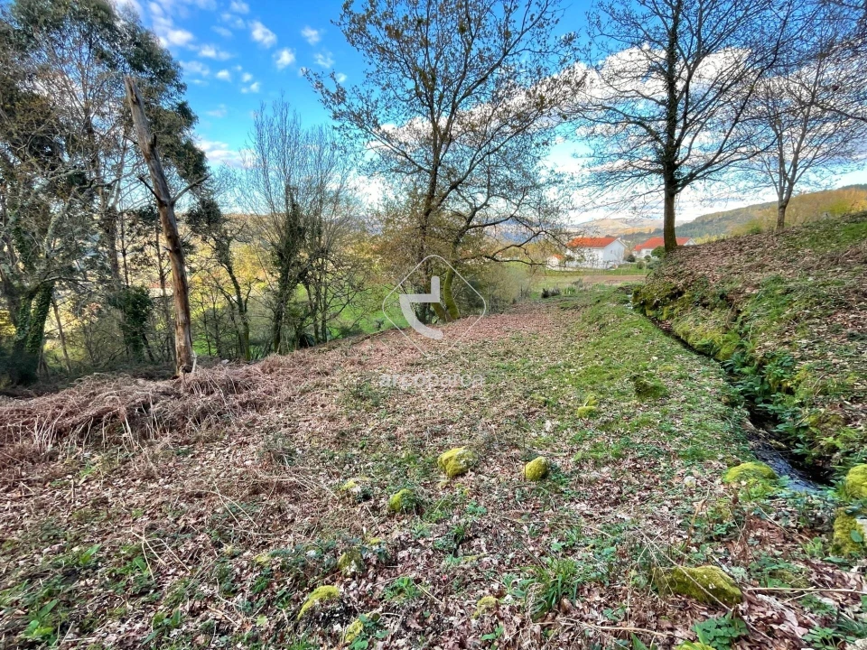 Terreno para Venda em Rio Frio Foto 11