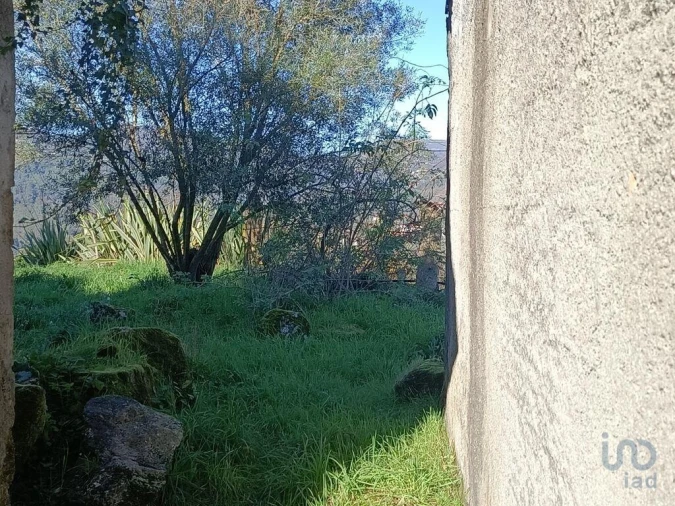 Moradia T1 para Venda em Eiras e Mei Foto 4