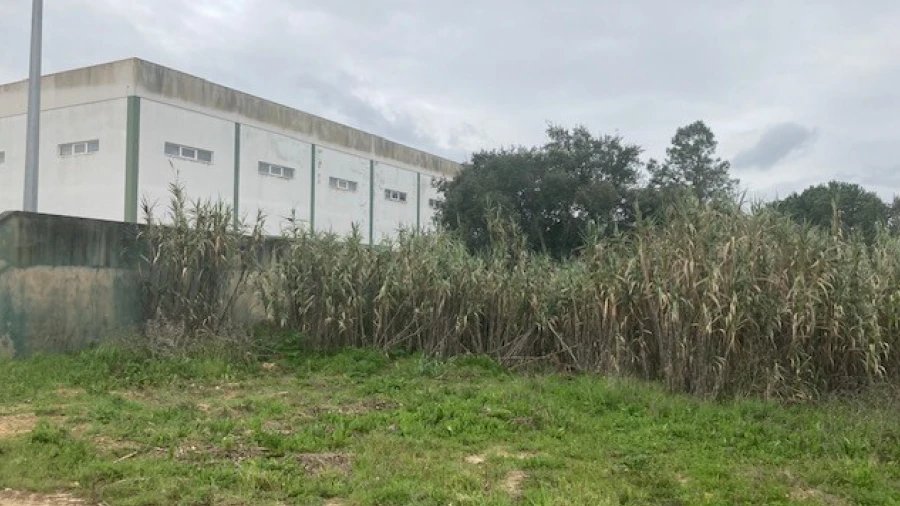 Terreno para Venda em Vila Chã de Ourique