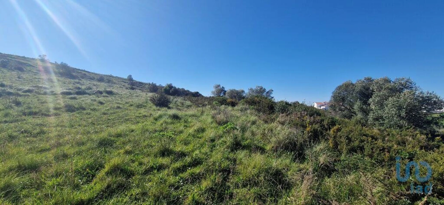 Terreno para Venda em Venda do Pinheiro e Santo Estêvão das Galés Foto 11