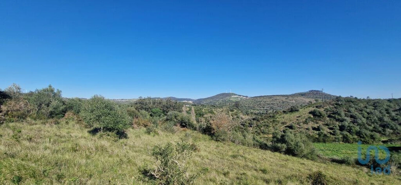 Terreno para Venda em Venda do Pinheiro e Santo Estêvão das Galés Foto 3