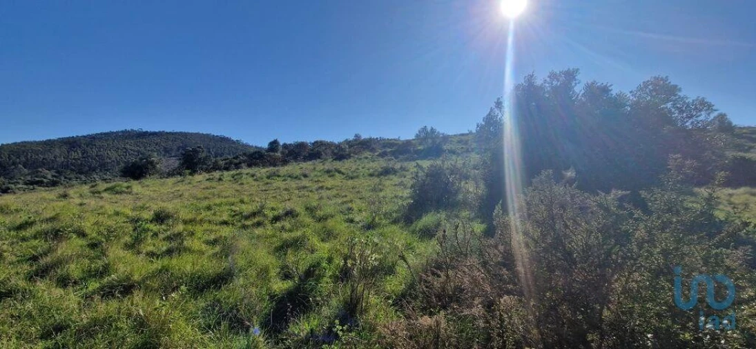 Terreno para Venda em Venda do Pinheiro e Santo Estêvão das Galés Foto 13