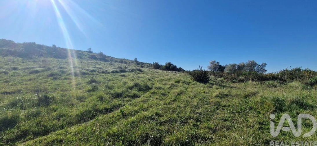 Terreno para Venda em Venda do Pinheiro e Santo Estêvão das Galés Foto 23