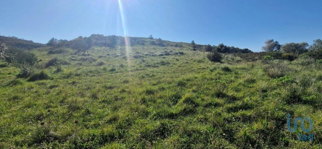 Terreno para Venda em Venda do Pinheiro e Santo Estêvão das Galés Foto 12