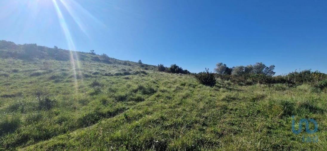 Terreno para Venda em Venda do Pinheiro e Santo Estêvão das Galés Foto 7