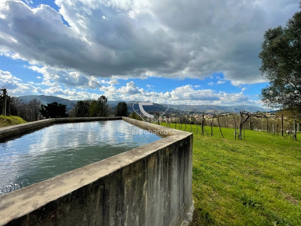Terreno para Venda em Azere Foto 12