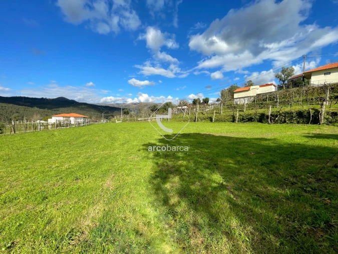 Terreno para Venda em Azere Foto 13