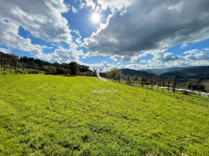 Terreno para Venda em Azere Foto 19