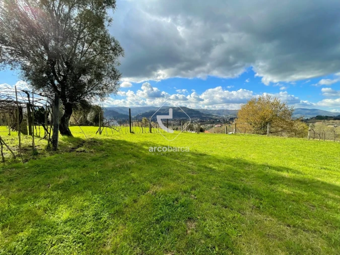 Terreno para Venda em Azere Foto 14