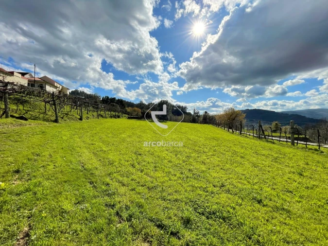 Terreno para Venda em Azere Foto 18