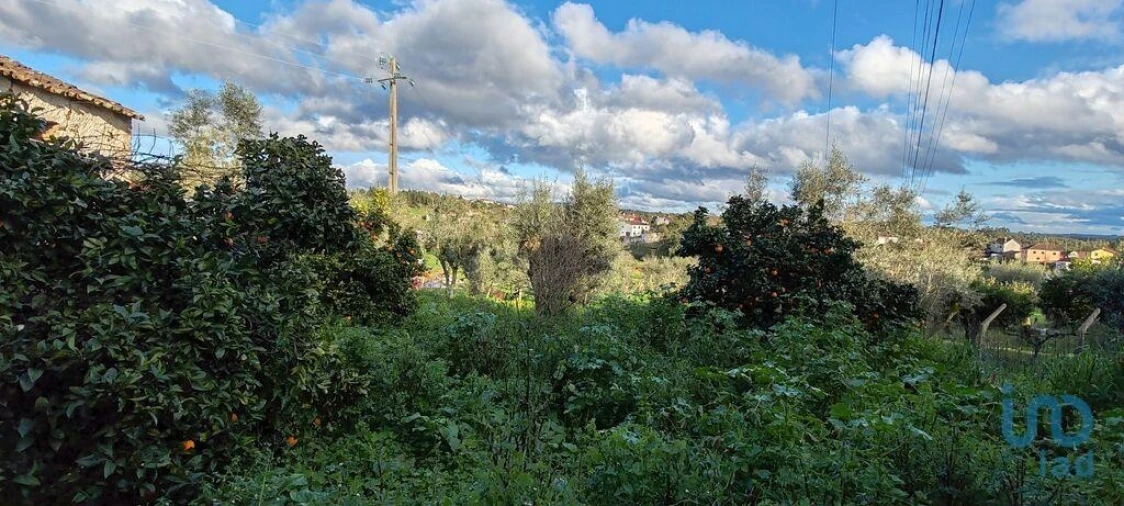 Moradia T6 para Venda em Graça Foto 9